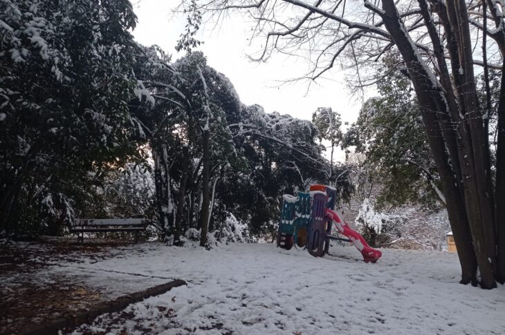 neve