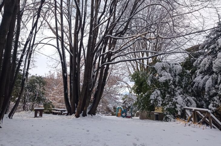 neve(1)