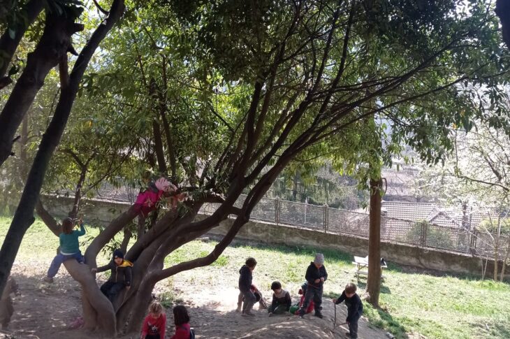 sugli alberi