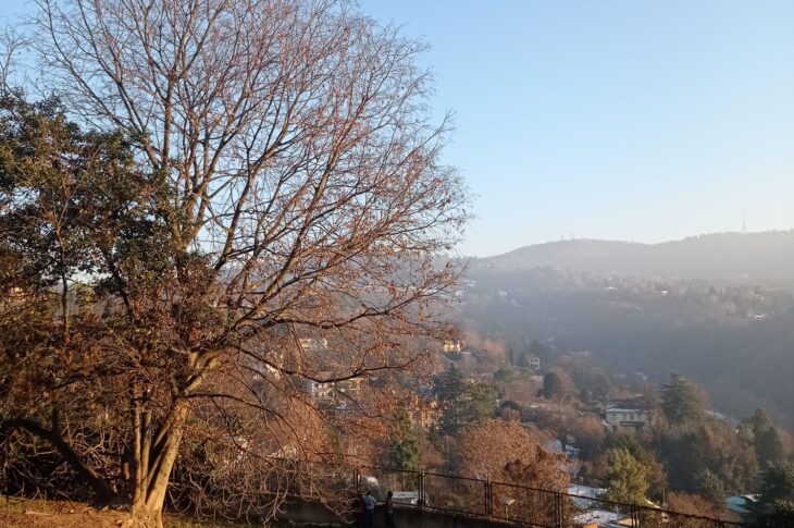 zona orto stagno