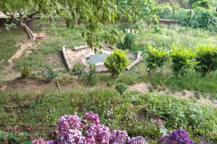 zona stagno 1