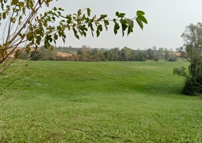 Campagna_Cambiano