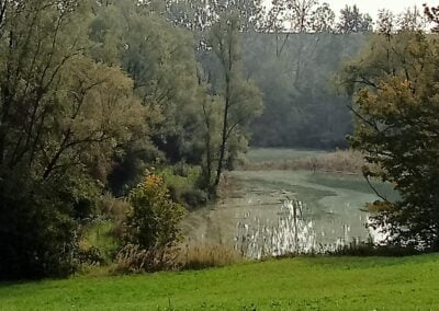 Campagna_Cambiano1