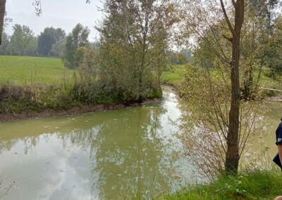 Campagna_Cambiano2