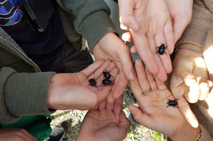 Outdoor_education