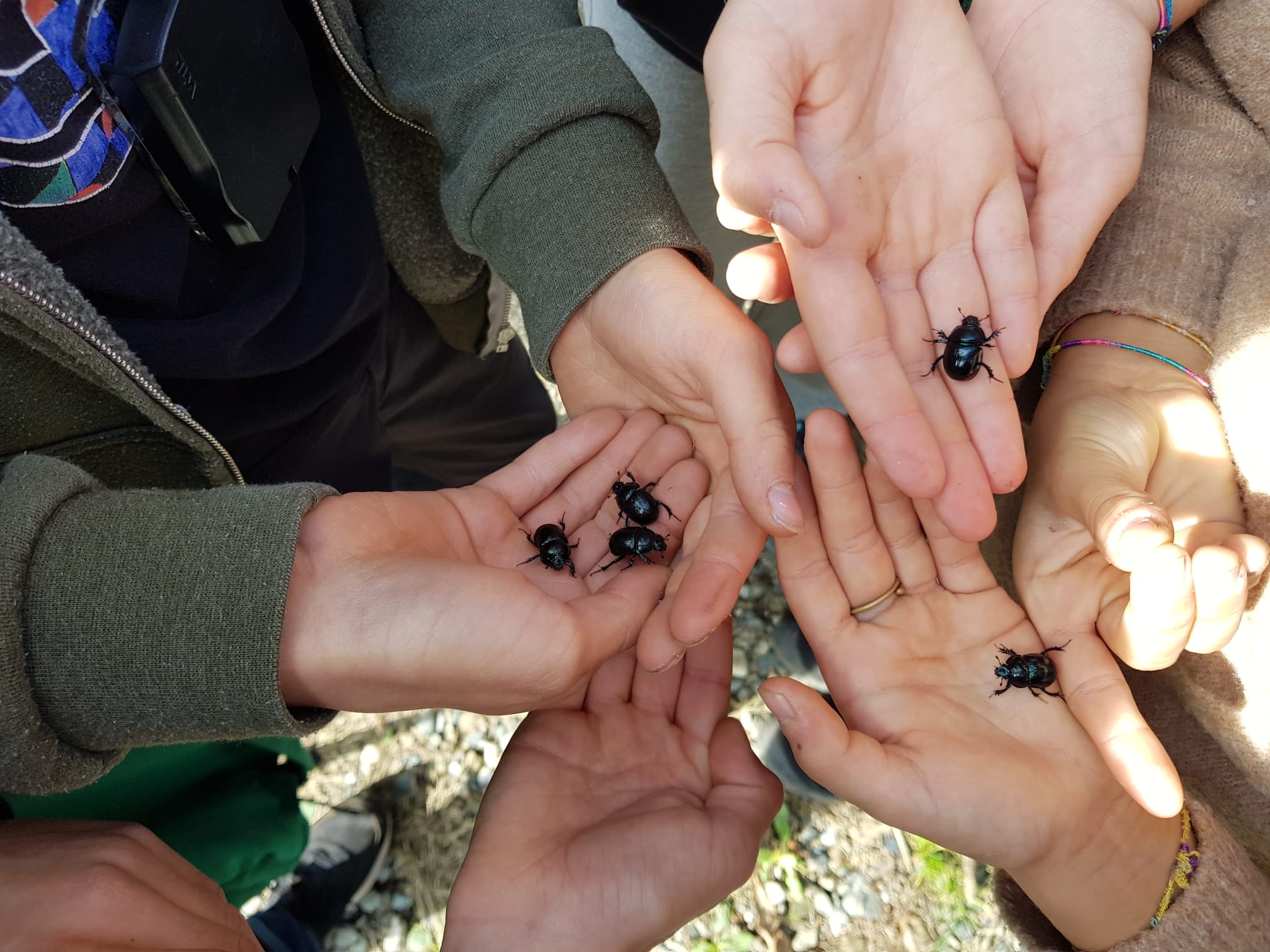 Outdoor_education
