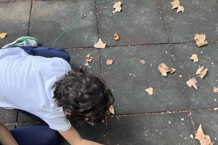 D'Ambiente3