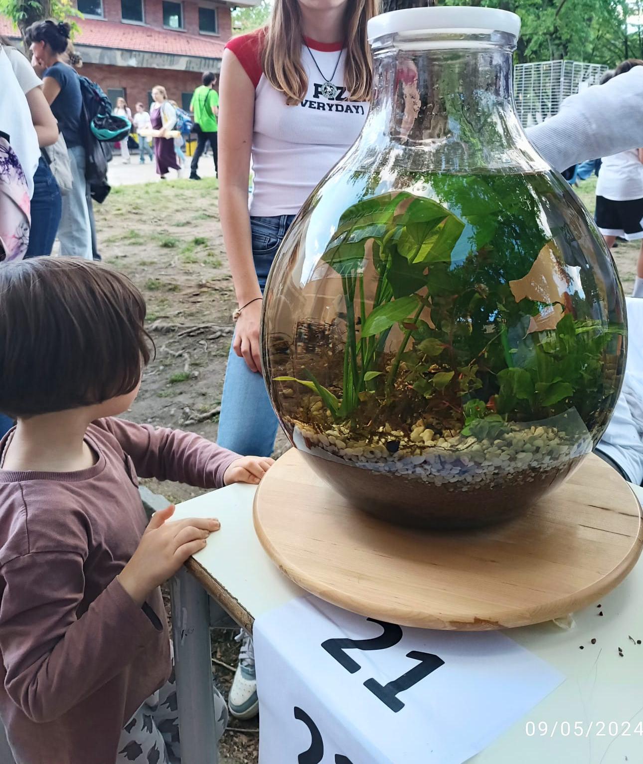 Ecosistema acquatico