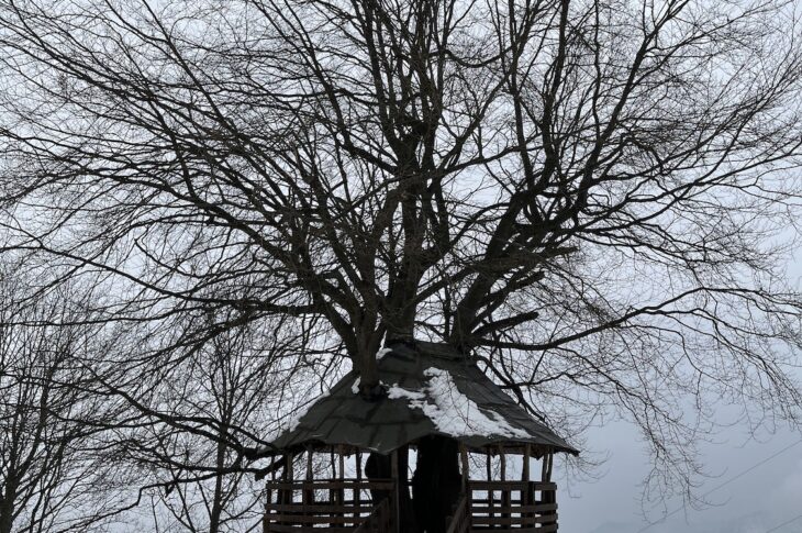 Il parco