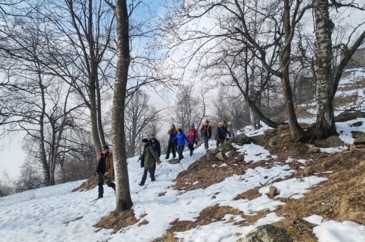 Nel_bosco1