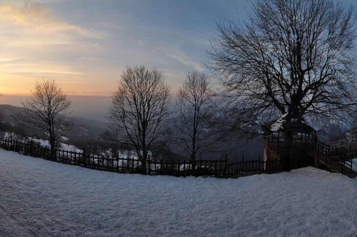 Panorama