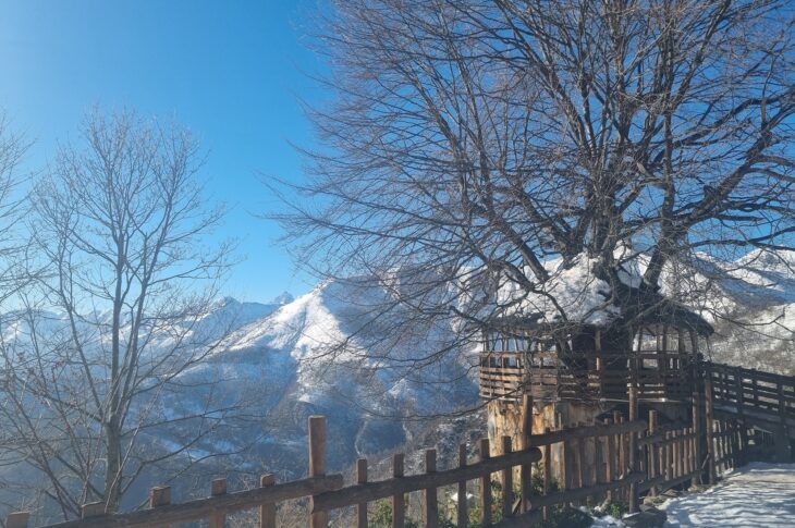 Parco del rifugio