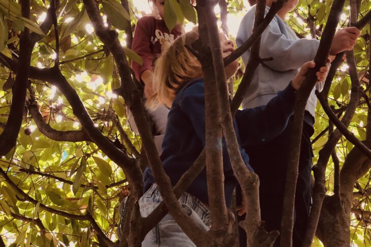 Sull_albero