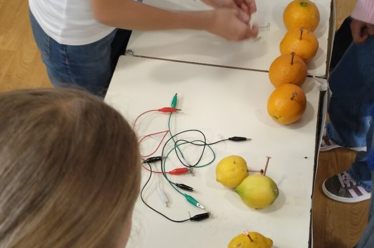 GDS26_ortoelettrofrutta